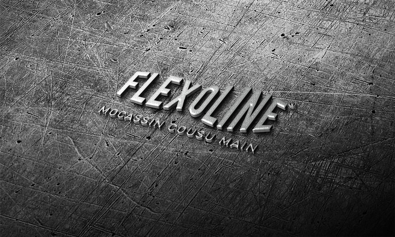 Création du logo Flexoline